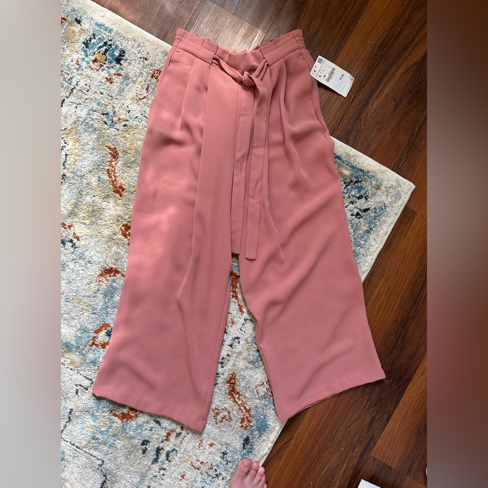 Express Dress Pant